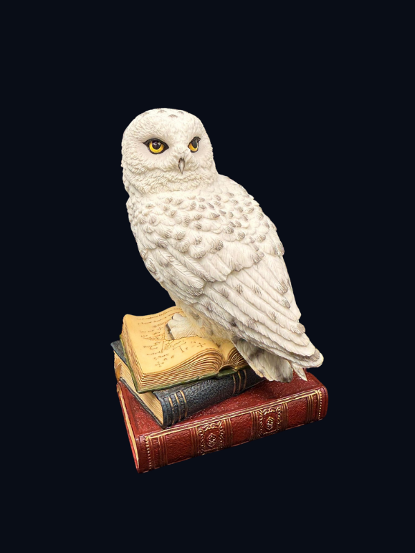 kar baykuşu biblo, kitap üstü baykuş, dekoratif kuş figürü, bilgelik sembolü, entelektüel hediye, öğretmene özel hediye, masaüstü süs eşyası, baykuş heykeli, kitaplık dekoru, iç mekan süsü, koleksiyon figürü, zarif dekoratif obje, aydınartshop